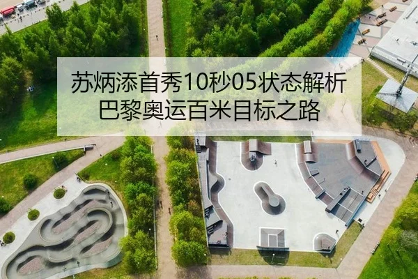 su-bing-tian-shou-xiu-miao-zhuang-tai-jie-xi-ba-li-ao-yun-bai-mi-mu-biao-zhi-lu-3-699.jpg